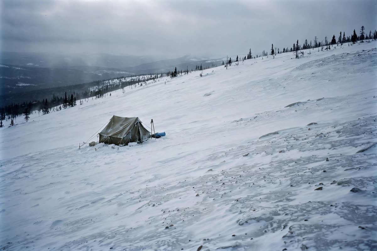 A small expedition tent sits alone on a broad snowbound slope in the northern Urals, with a sparse line of dark trees at the edge. Wide establishing view under flat, low overcast winter daylight. Restrained Zone d’Ombra investigative documentary illustration, realistic terrain, muted ice blue, charcoal and off-white, subtle archival grain.