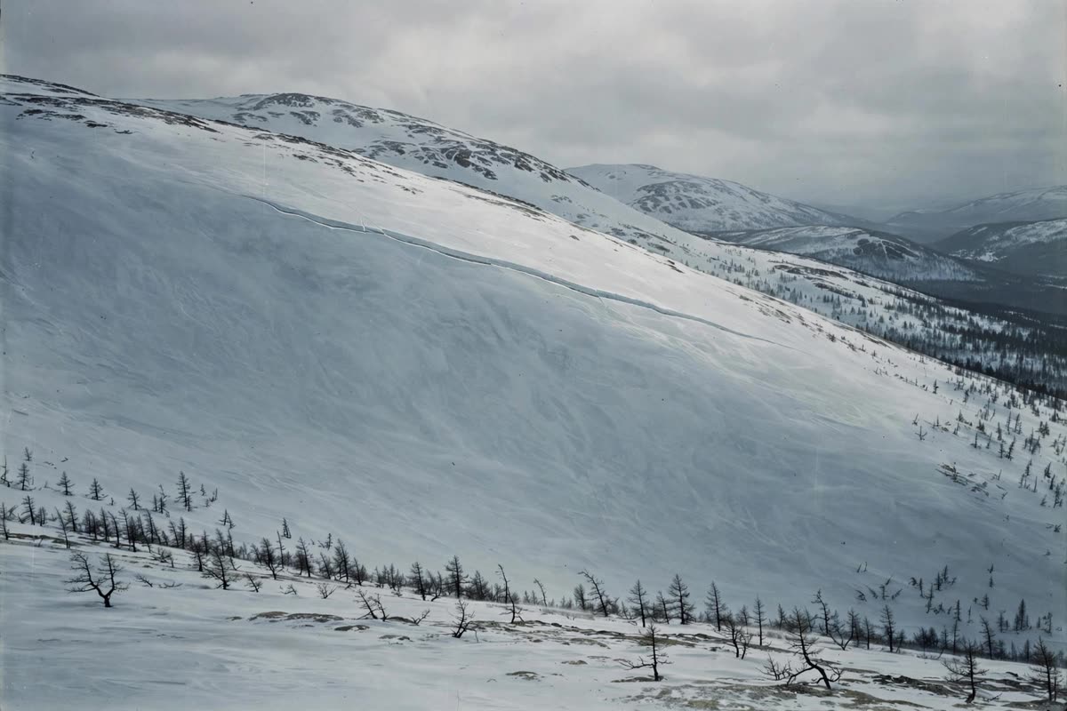 A broad snowbound slope in the northern Ural Mountains, a thin slab of snow subtly outlined above a sparse, dark tree line. Restrained documentary illustration, realistic terrain in muted ice blue, charcoal, and off-white; diffuse overcast daylight, wide establishing view, subtle archival film grain.